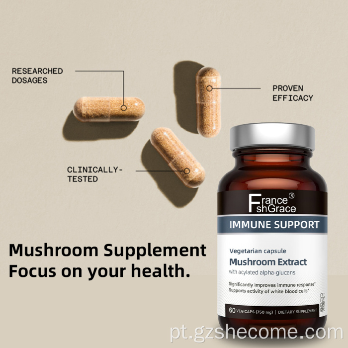 Cogumelos Suplemento de extrato de planta suportes de saúde imunológica